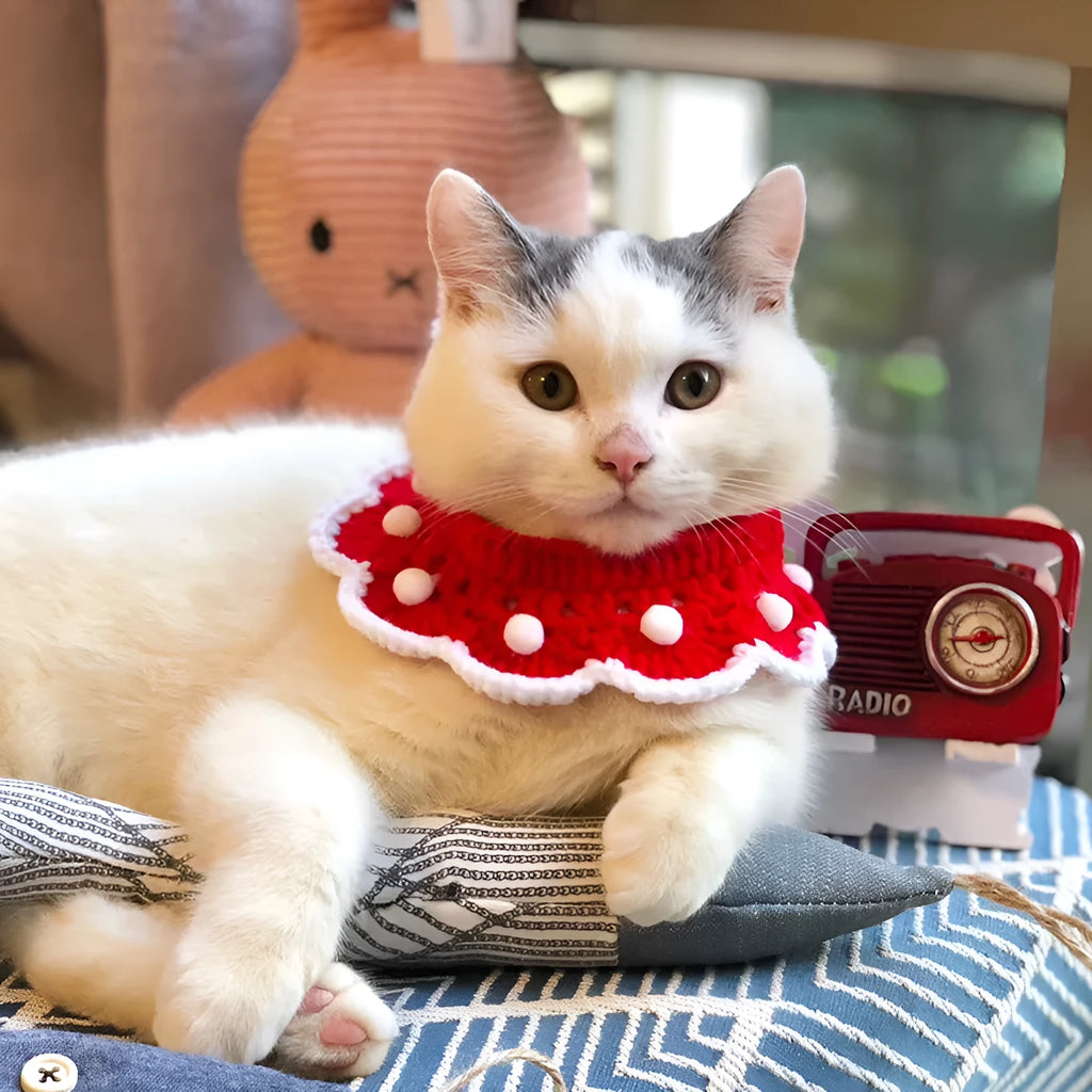 Wool knitted pet collar in milk cotton with cartoon pattern, shown in various sizes for cats, dogs, and rabbits