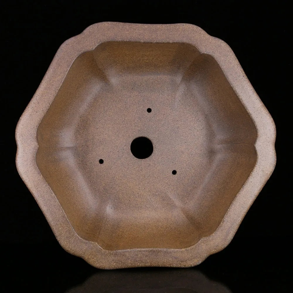 Handmade purple sand bonsai basin shown in hexagonal and begonia styles for Pinus taiwanensis cultivation