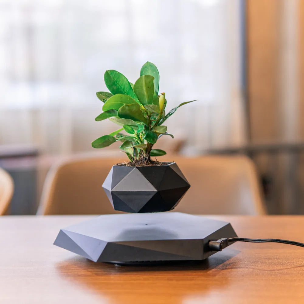 Hexagonal wood grain magnetic levitating flower pot floating above a circular black base on a desk.
