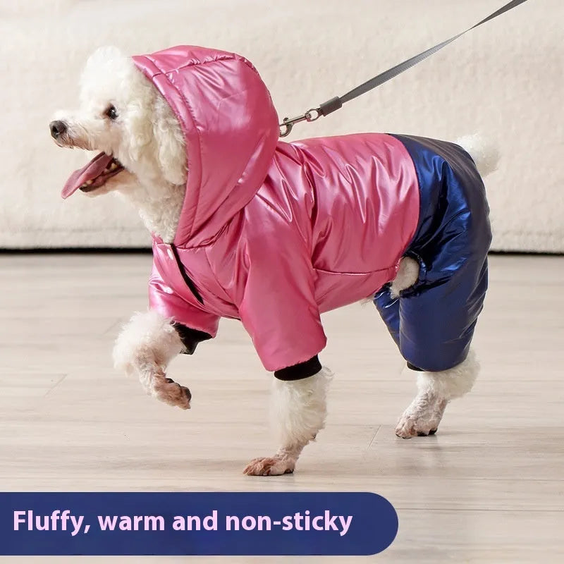 Green waterproof cotton dog coat on canine showing four-legged design and casual styling