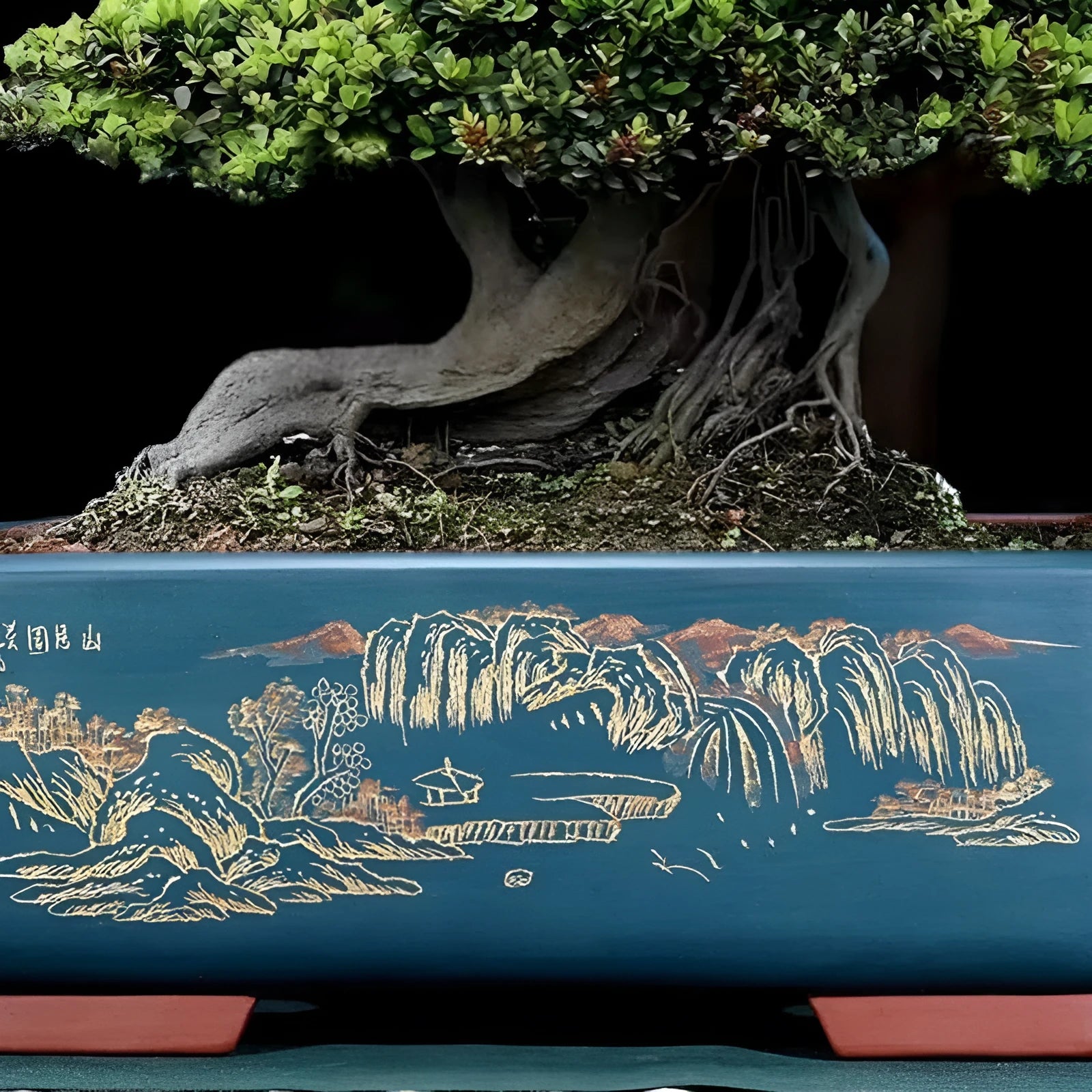 Large handmade rectangular purple clay bonsai pot in deep blue black for pine trees.