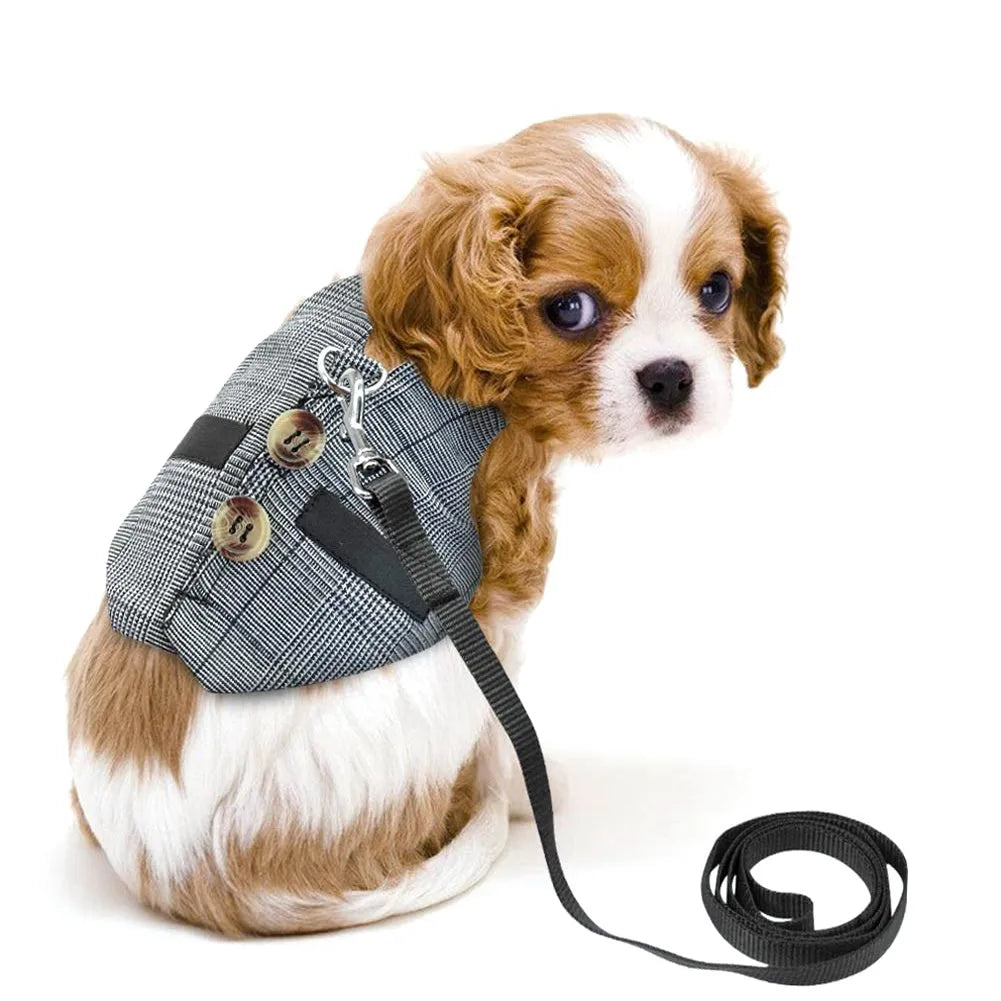 Grey rabbit leash and dress chest harness set on small pet, sizes S M L available