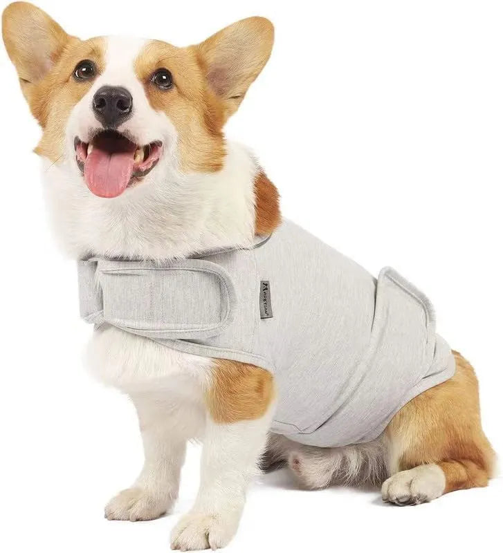 Dog wearing calming tank top vest in brocade cotton Ponte-de-Roma fabric for separation anxiety relief