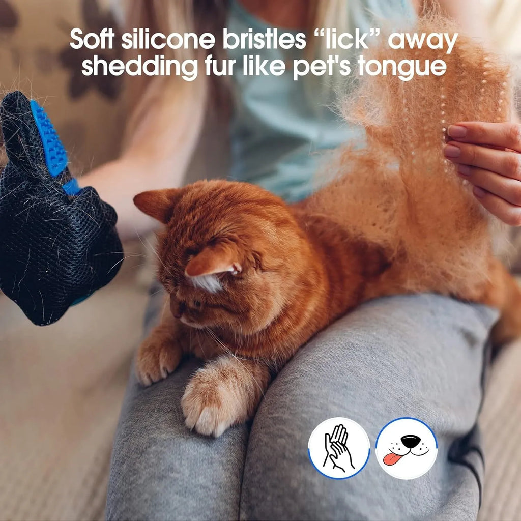 Blue pet grooming glove with silicone tips for brushing dogs and cats.