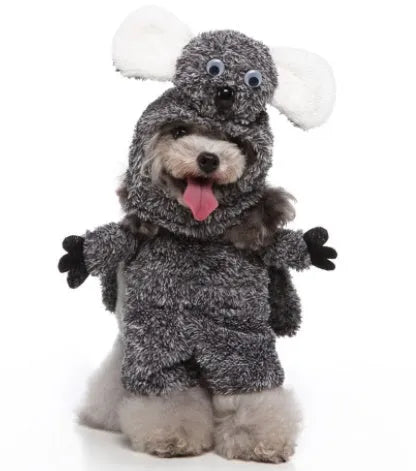 Three-piece dog costume in polyester fabric, standing outfit with hat, clothes and cloak, size S to XL