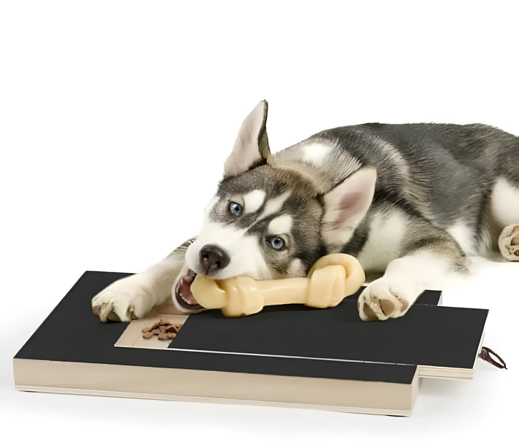 Dog nail scratch board with treat box made from wood for pet nail care