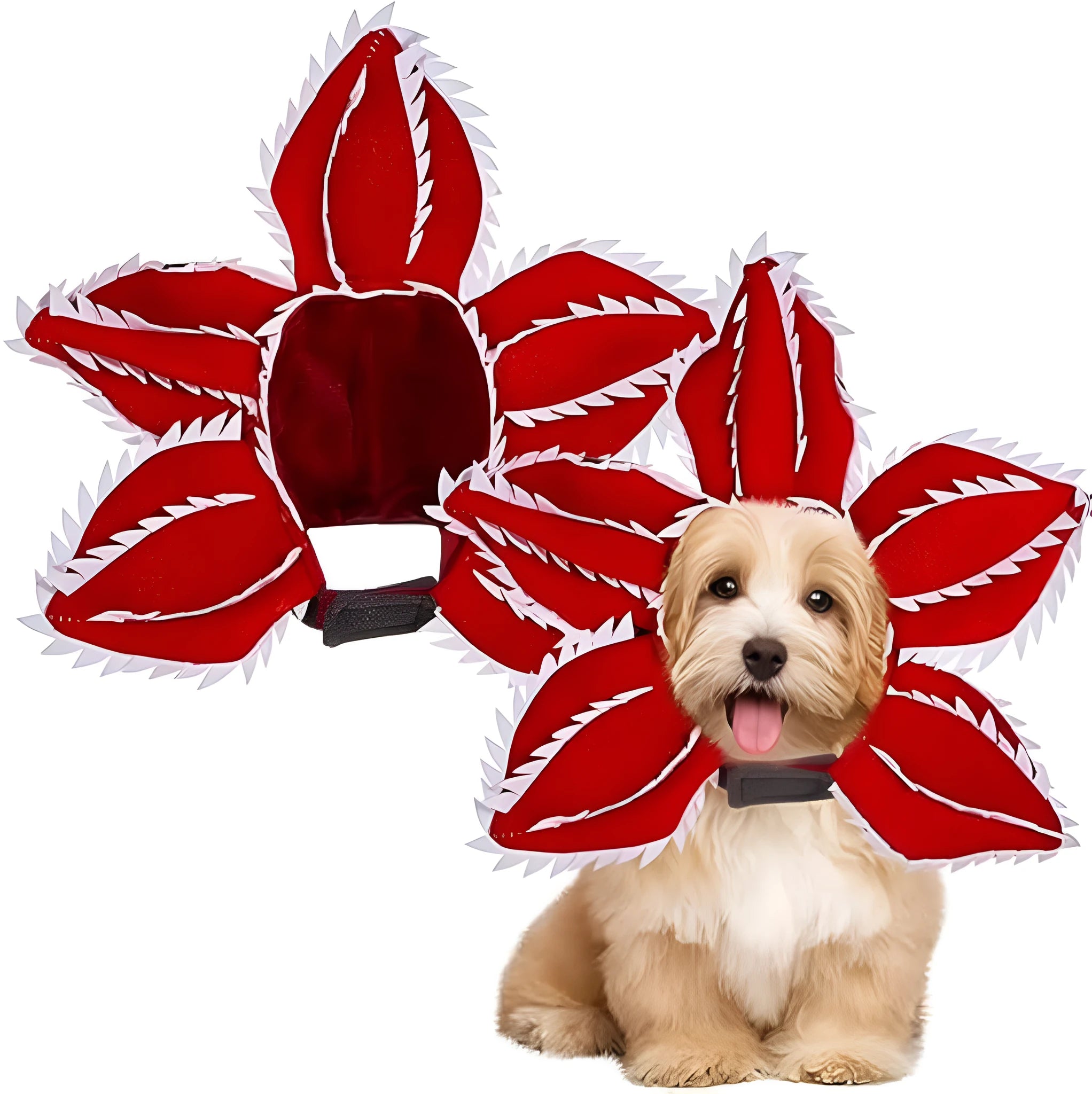 Dog wearing Halloween chomper demon costume with scary headband and flower details