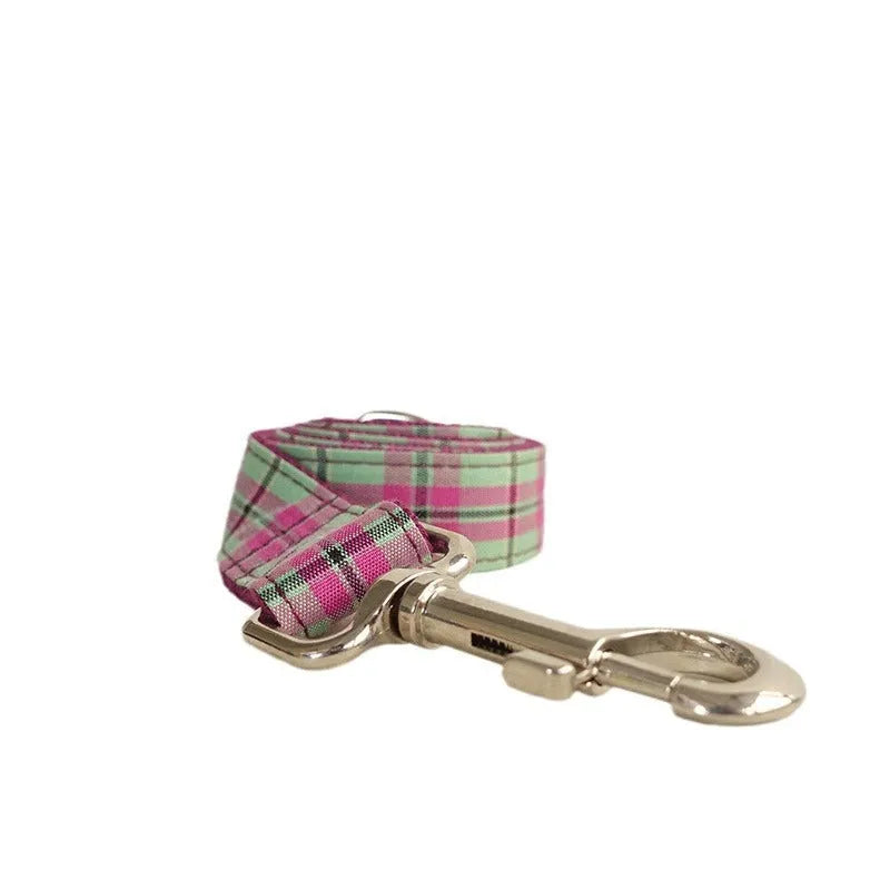 Mint green polyester dog collar and matching lead set shown in five available sizes