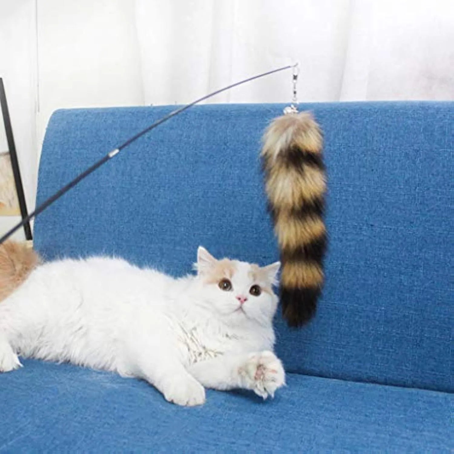 Black cat toy wand with elastic string attachment for interactive indoor play