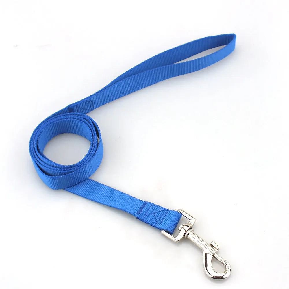 Solid colour polyester dog lead showing loop handle and single rope in one of twelve available colours.