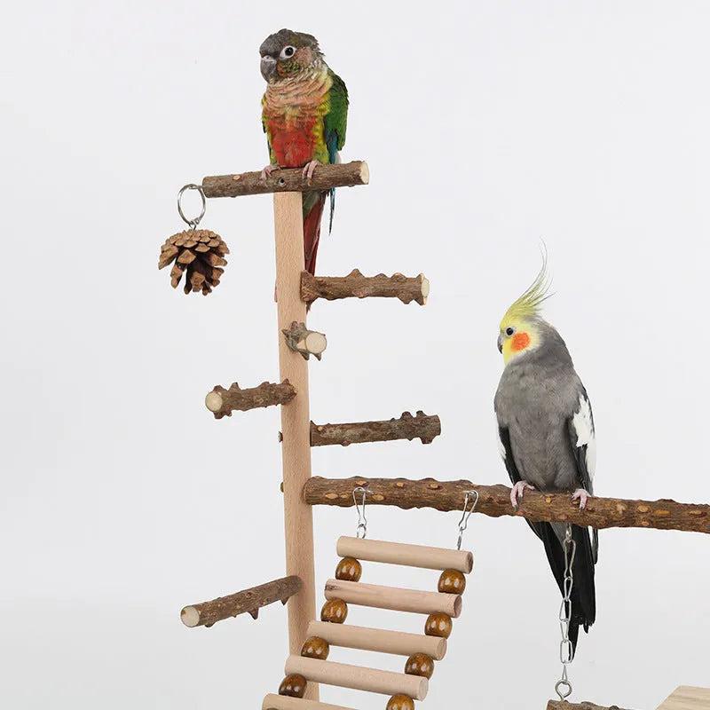 Sichuan Pepper Parrot Climbing Training Platform made from natural solid wood, 37x26x45cm, in a light wood colour finish.