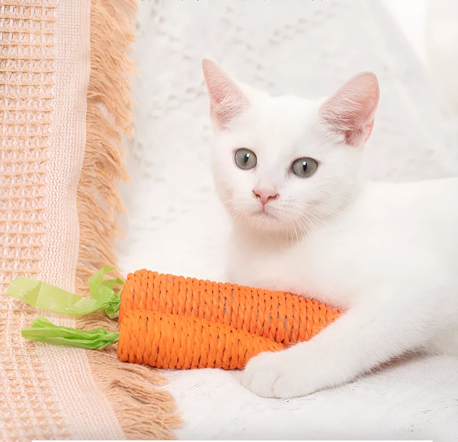 Cat toys multipack with carrot-shaped paper crinkle toys, ringing stones, interactive sticks, and dental grinding sticks