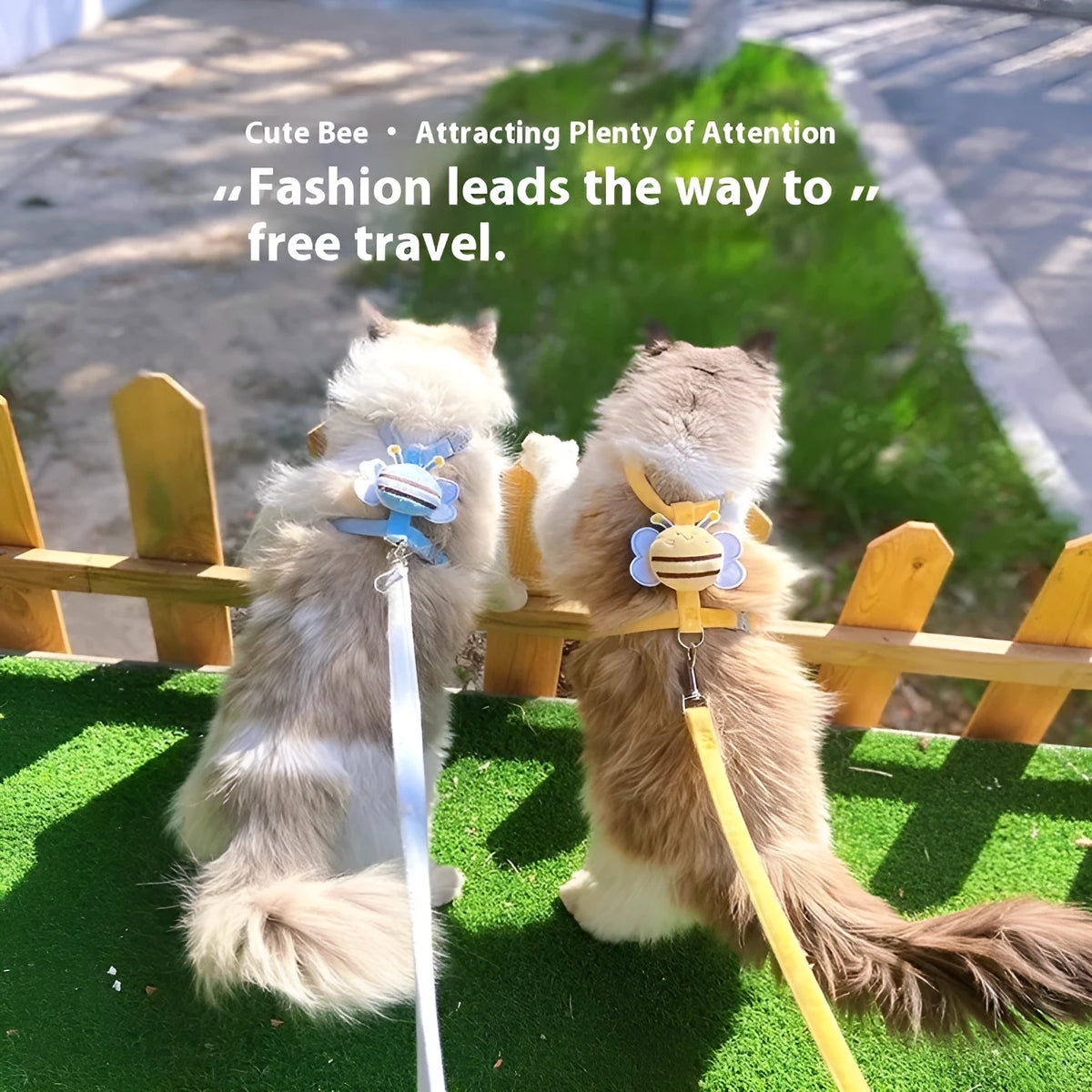 Bee-shaped adjustable cat leash harness in blue colour with strap and hand holding rope