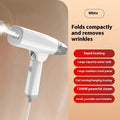 Blue handheld garment steamer unit with water tank and nozzle, showing compact size.