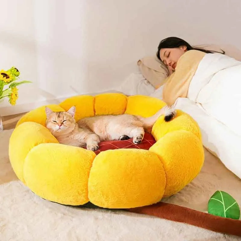 Soft PV velvet cat nest cushion mat in green dinosaur pattern, shown in M size.