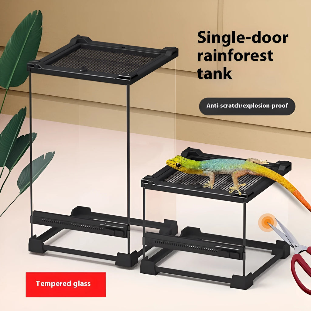 Transparent glass cylinder lizard turtle feeding box on surface with climbing pet visible inside