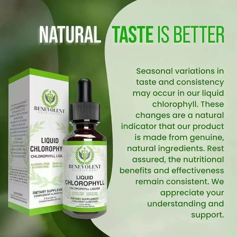 60ml bottle of natural spearmint flavoured liquid chlorophyll drops with dropper for adult supplementation