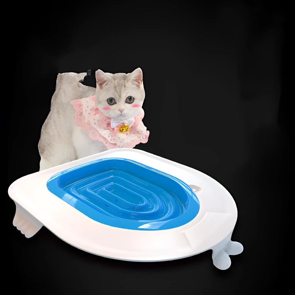 Blue PP cat toilet trainer measuring 415x423x420mm on a standard toilet seat