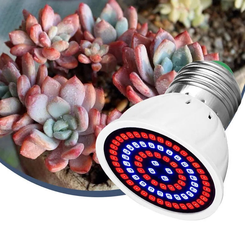 White LED plant growth lamp with 80 beads providing 180° coverage for indoor potted plants up to 80 square centimetres.