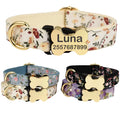 Nylon dog collar with printed grid pattern and bone-shaped metal buckle