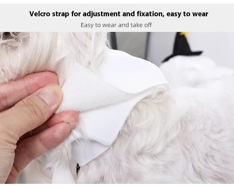 White pumpkin ghost Halloween costume for dogs in viscose fibre material