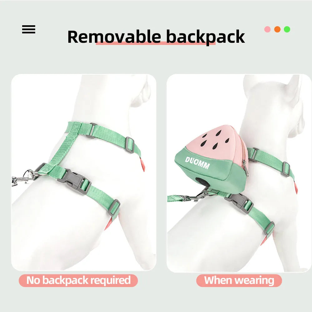 Pet backpack chest strap set with anti-slip rope in green, orange or pink colours