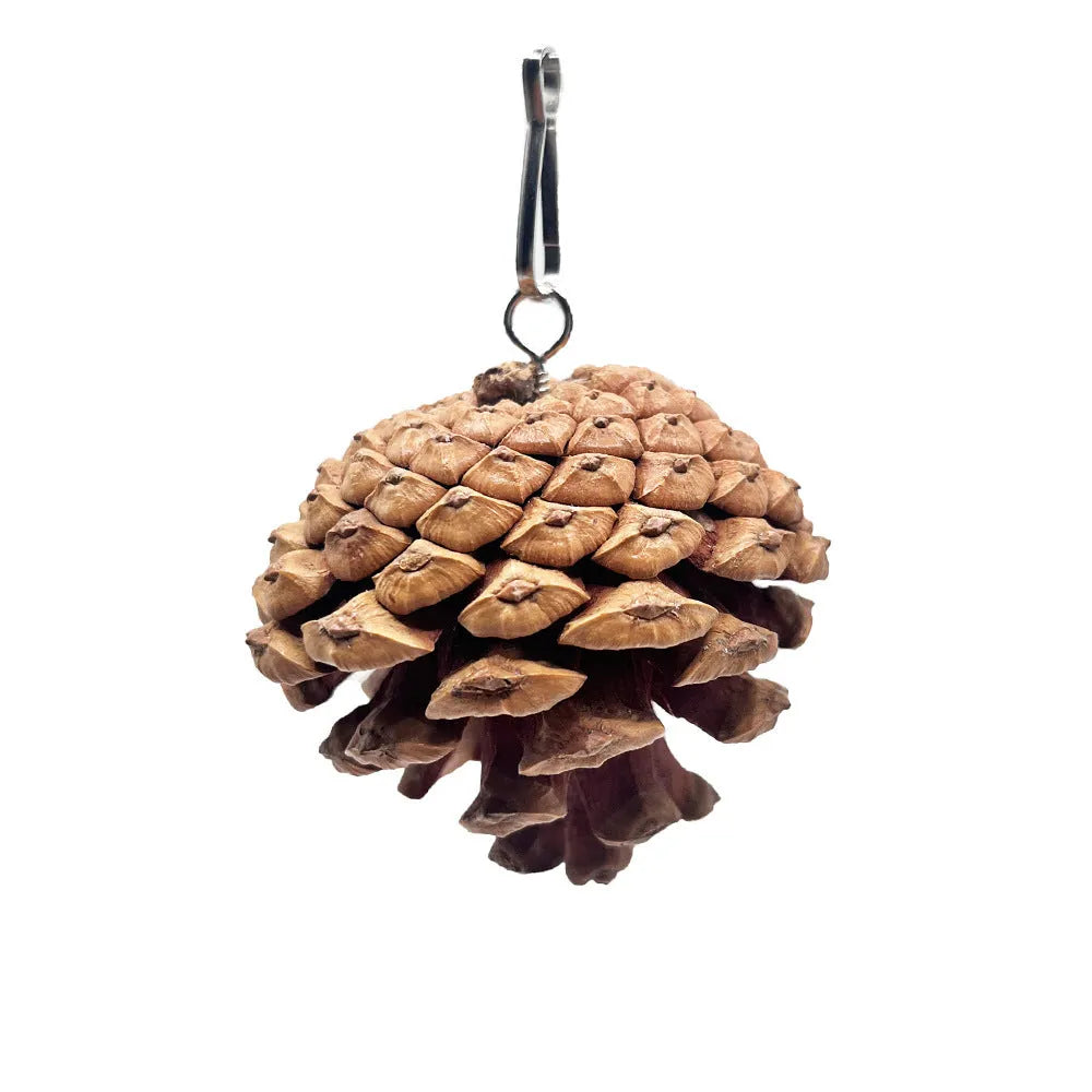 Natural pine cone parrot bite toy with metal stud and buckle, 5-6cm size, for hanging in bird cage