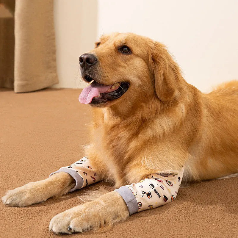 Adjustable dog elbow protection brace with scarf accessory in blue colour for medium large breed
