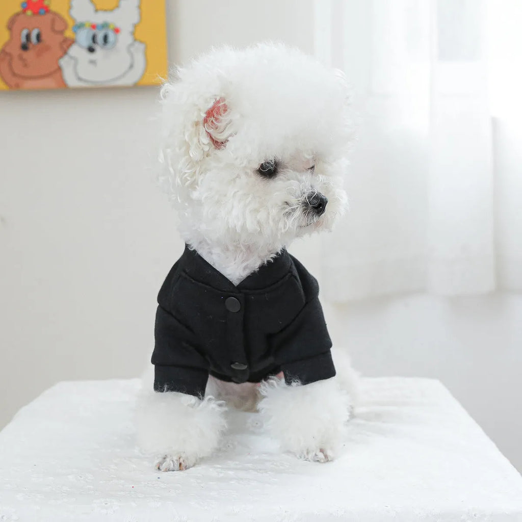 Casual grey dog sweater with white kissing lips print, shown on a small dog.