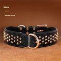 Leather dog collar with stainless steel rivets in black, chocolate, and pink colour options.