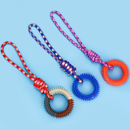 Blue braided rope dog toy with a knot, shown on a wooden floor.