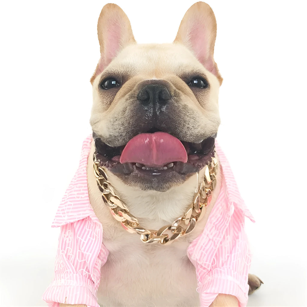 Geometric plastic resin dog collar chain necklace in gold or white on a small dog model
