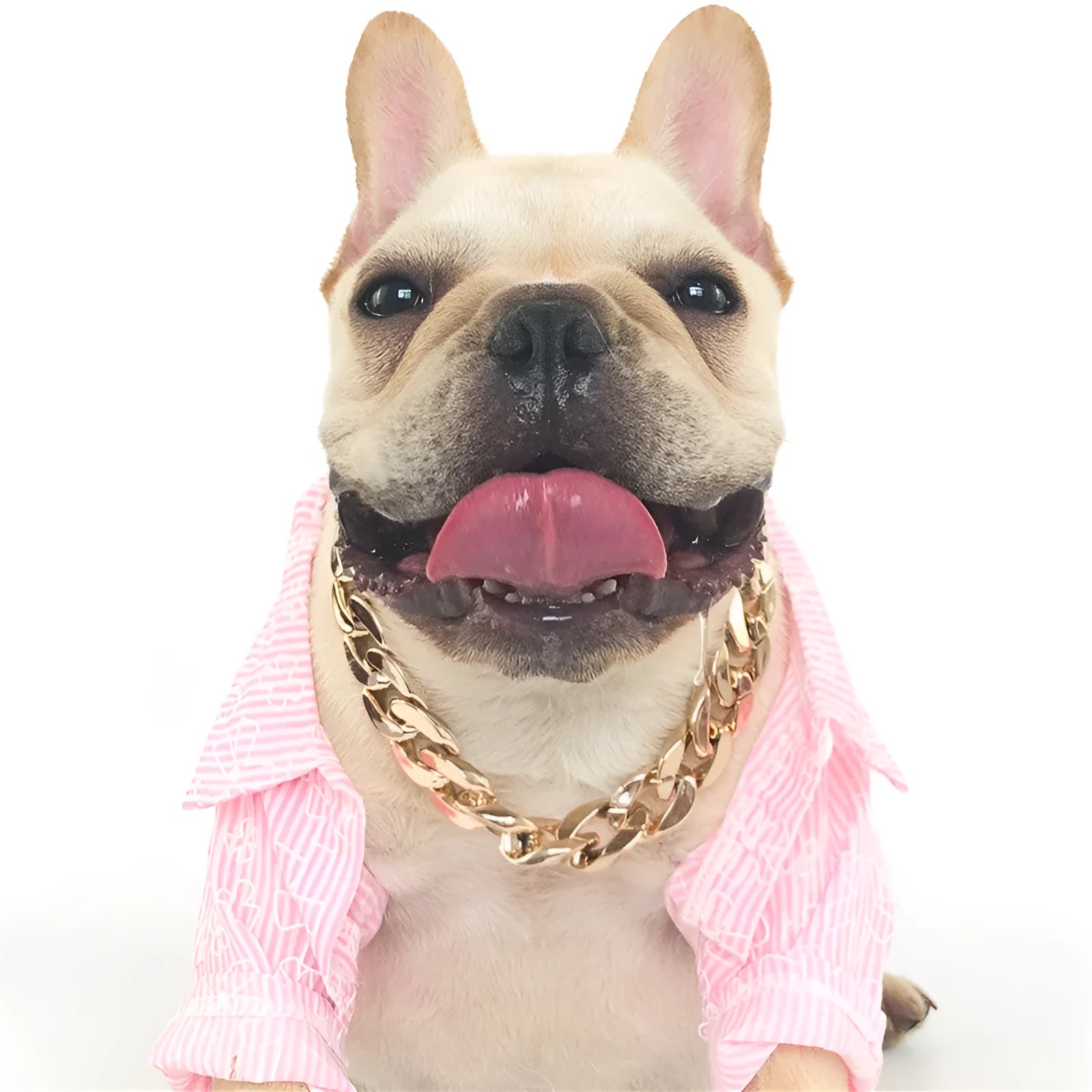 Geometric plastic resin dog collar chain necklace in gold or white on a small dog model
