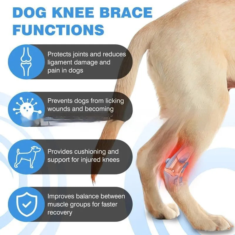 Black polyester pet leg guard for dog or cat ACL ligament tear rehabilitation support