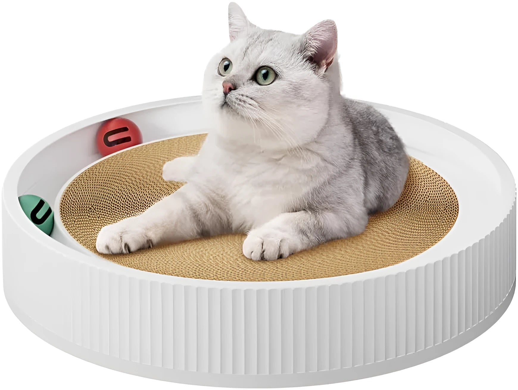 Large circular cat scratching board with integrated ball toys and refillable cardboard core