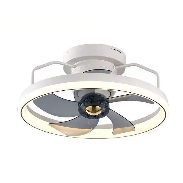 Modern ceiling fan lamp with light fixture in one of seven colour options