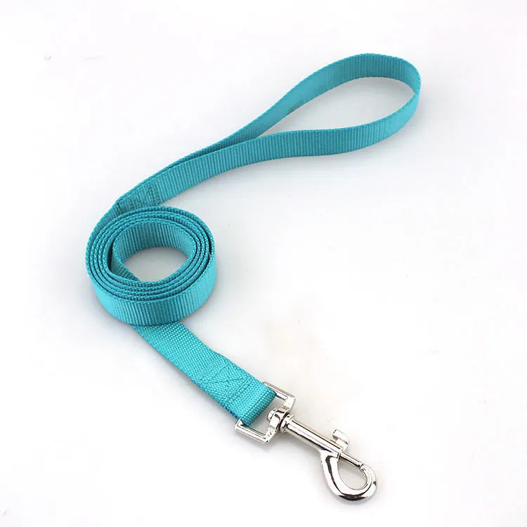Solid colour polyester dog lead showing loop handle and single rope in one of twelve available colours.