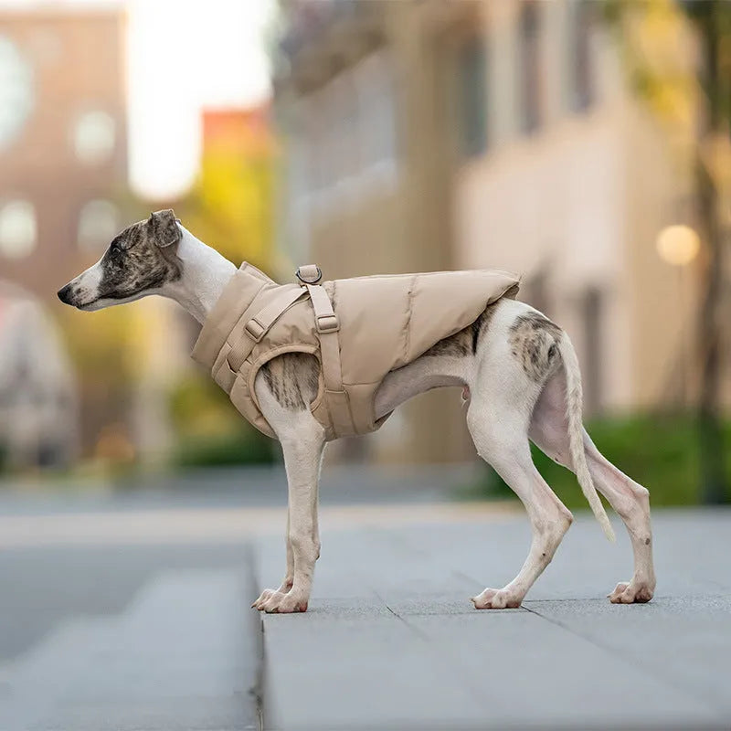 Khaki beige polyester winter dog coat on a pet, size L, windproof outer layer