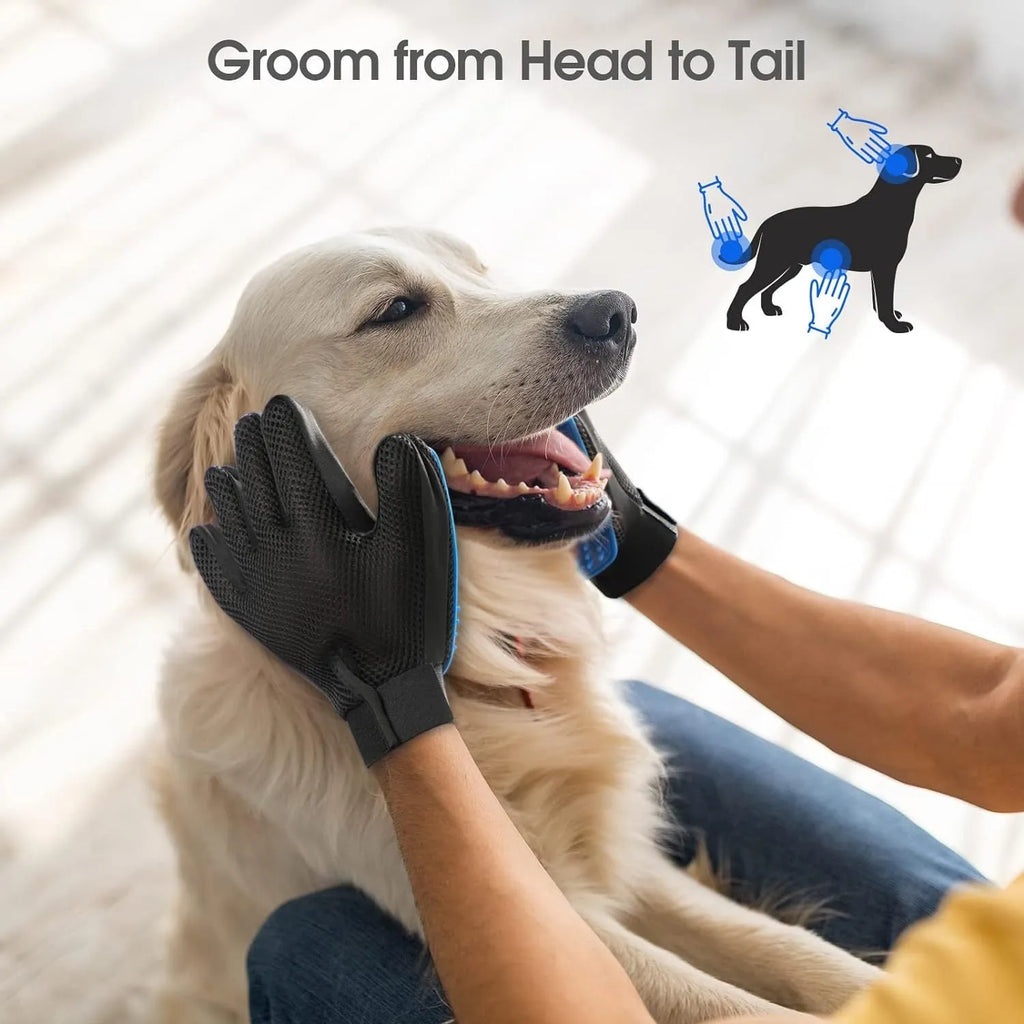 Blue pet grooming glove with silicone tips for brushing dogs and cats.