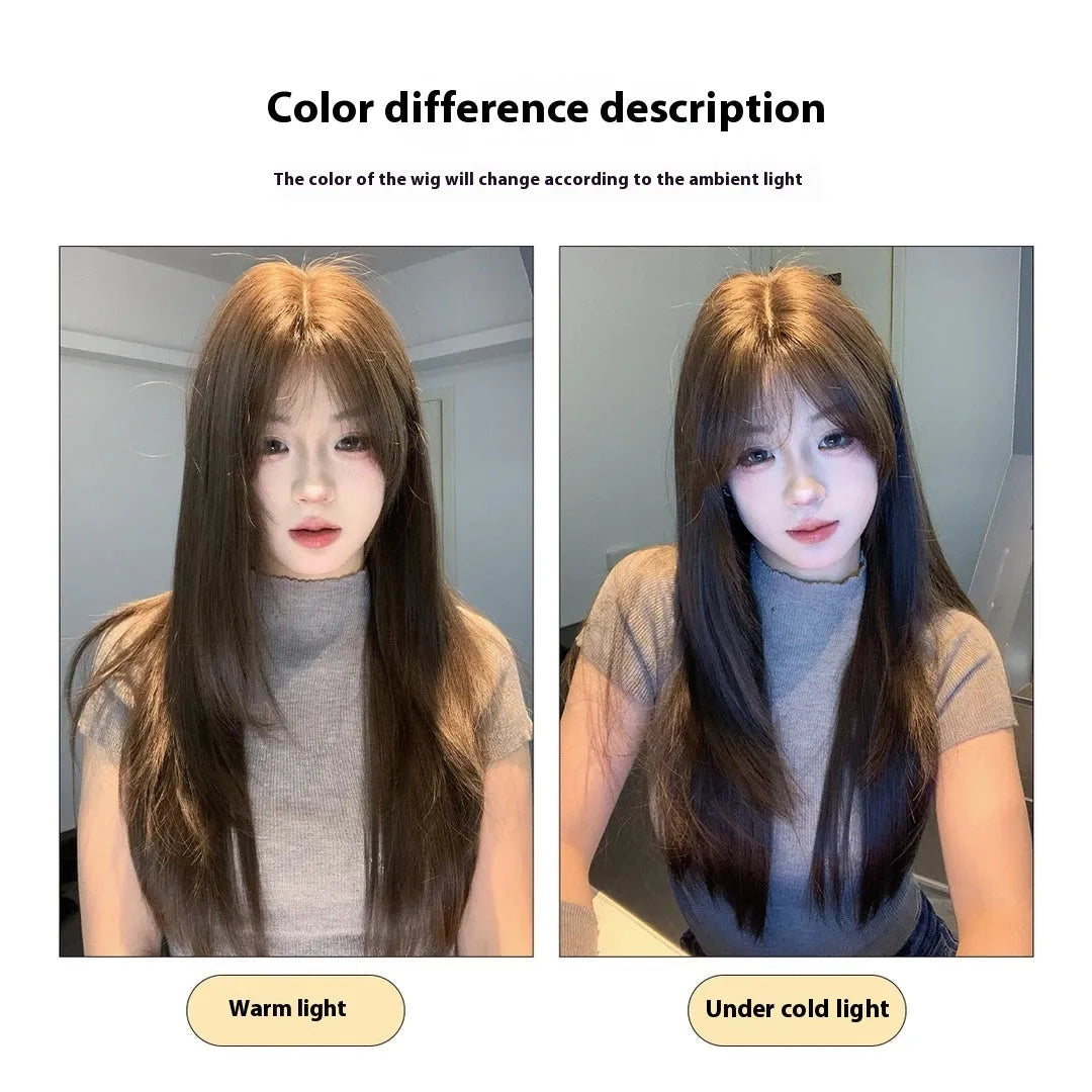 Women's cold brown layered long straight full-head wig with high temperature fibre hair