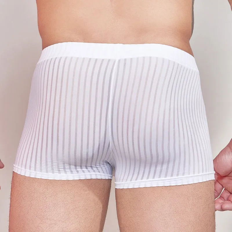 Men's striped thin transparent nylon underwear in Black, White, and Dark Gray free size briefs
