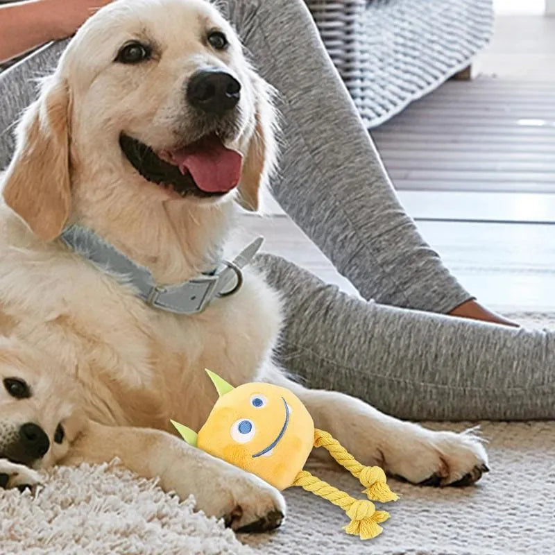 Blue and yellow cartoon dog squeaky toys with strong knot design and cotton rope texture