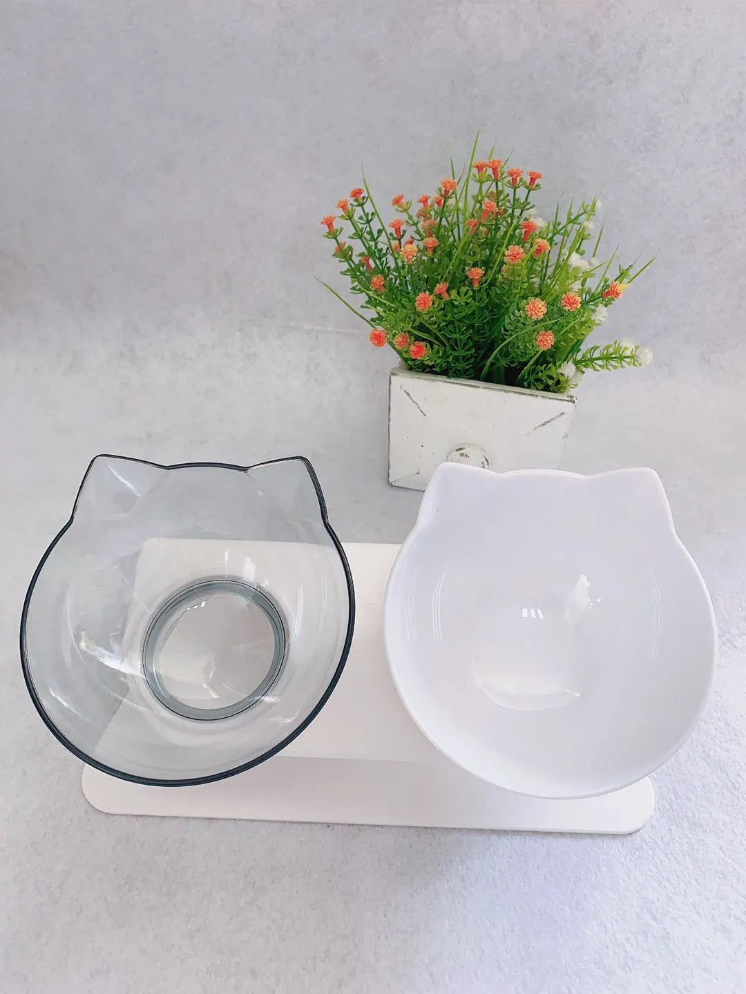 Non slip double cat bowl with raised stand transparent plastic pet feeder for dogs and cats