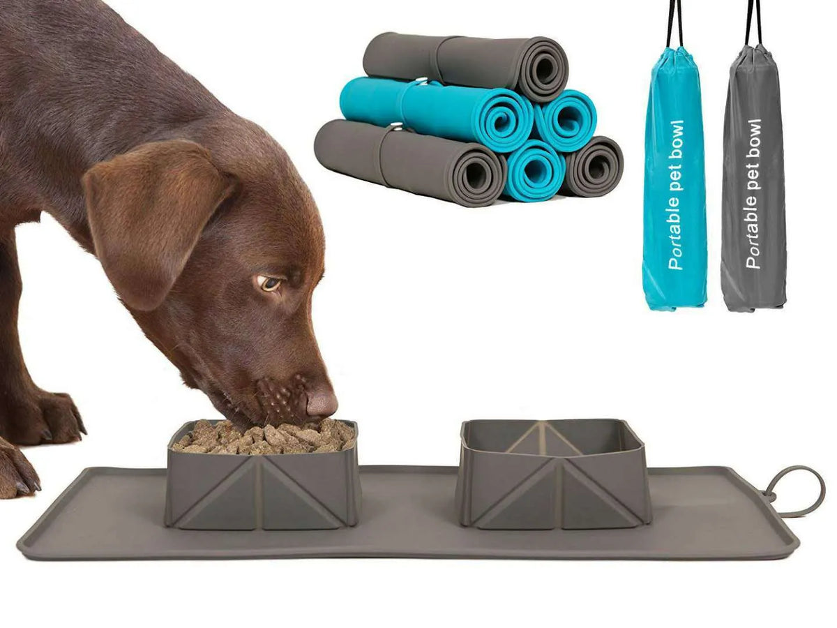 Silicone folding pet bowl in black, collapsed flat showing non-slip base