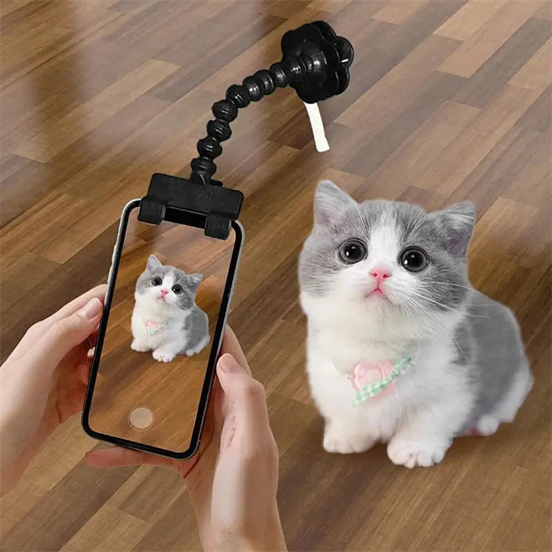 Black pet photography tool with treat clip and phone holder for dog and cat photography