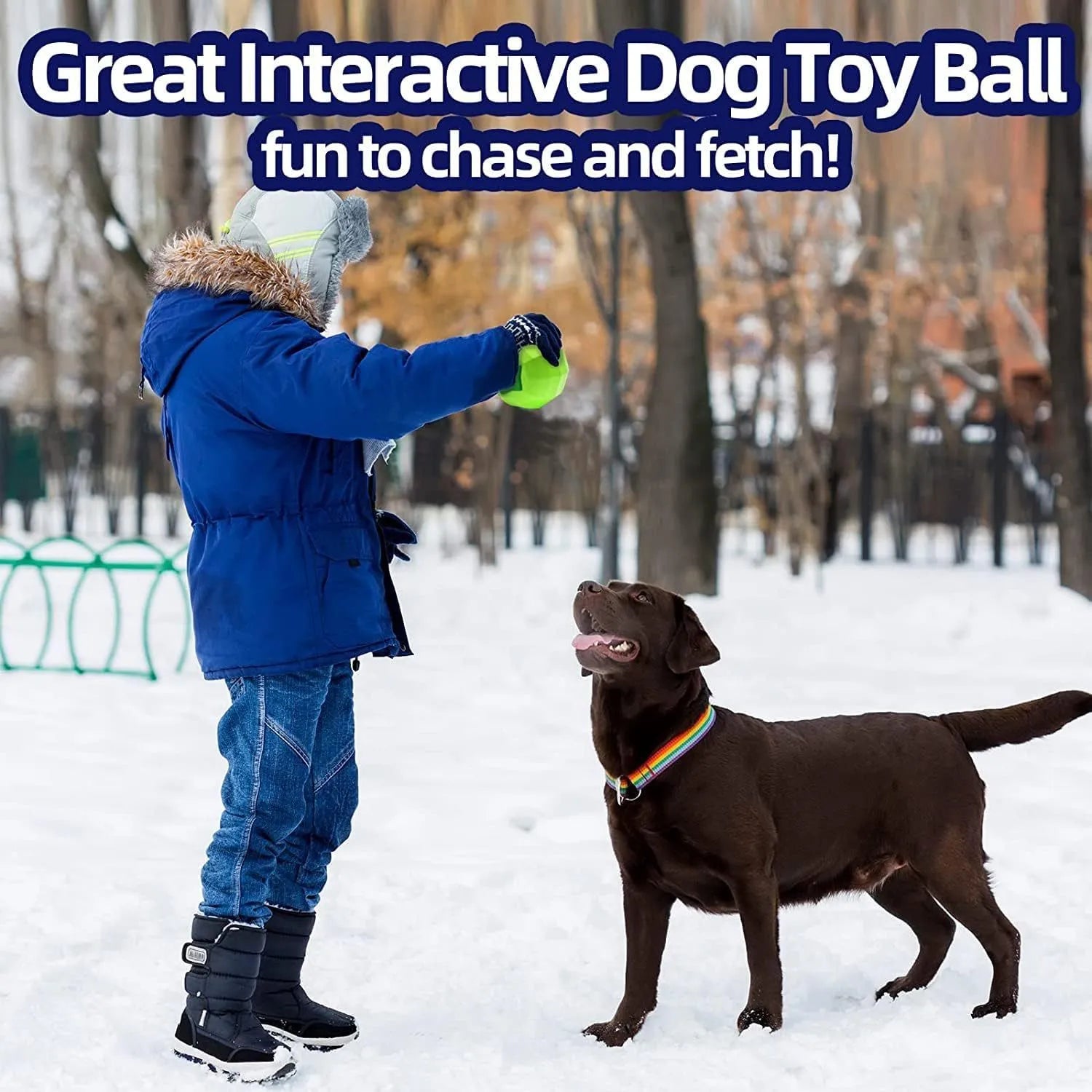 Green natural rubber dog chew toy with squeaker for medium to large breed aggressive chewers