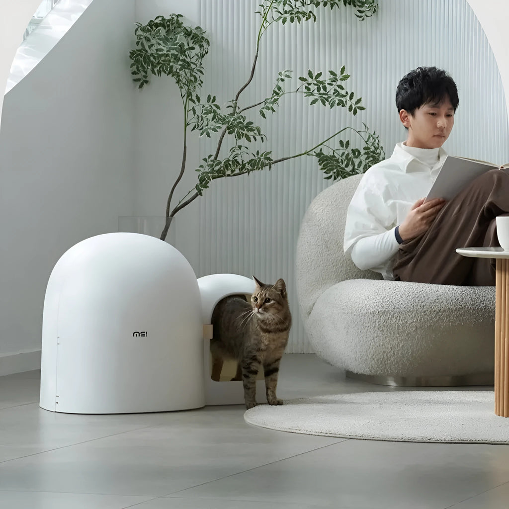Fully enclosed oversized cat litter box in ABS plastic measuring 67.7cm long, shown in Aurora White colour.