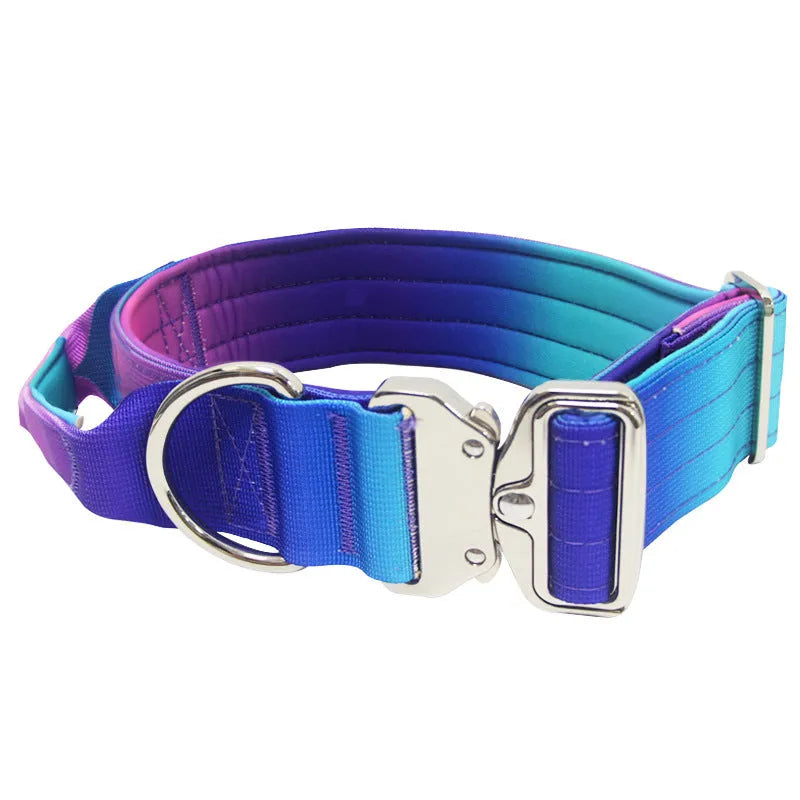 Nylon gradient pet collar and leash set in blue and purple on a white background