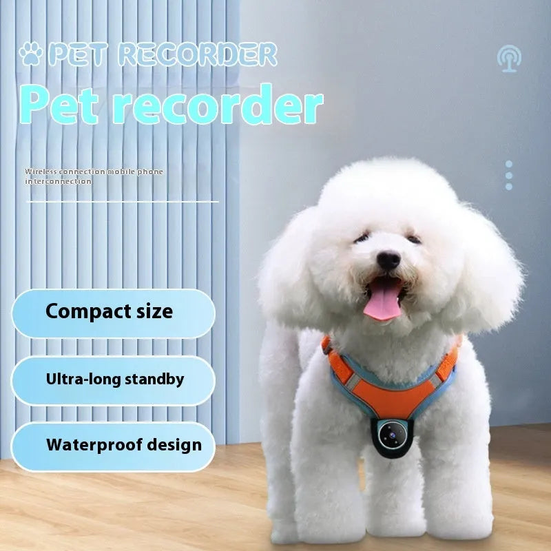 Pets Recorder pet tracker collar with GPS and 170° camera, lightweight and waterproof for dogs and cats