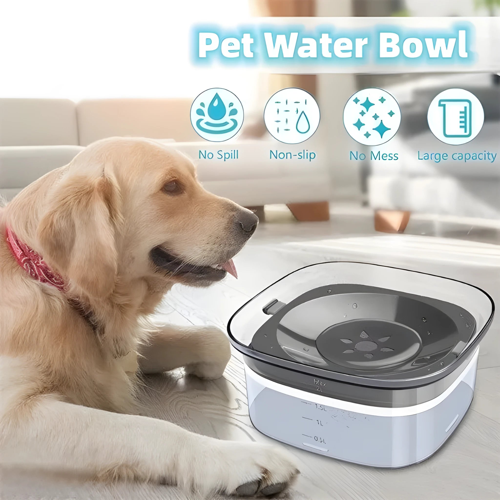 Transparent plastic pet water bowl with floating disc showing water level and non-slip base